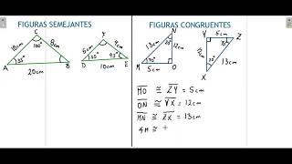 8° Figuras semejantes y figuras congruentes [upl. by Reinal154]