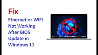 Ethernet or WiFi Not Working After BIOS Update in Windows 11 [upl. by Berty]