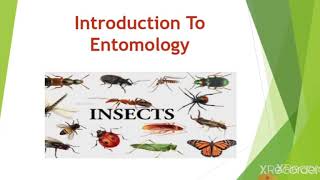 Introduction to entomology [upl. by Navonod]