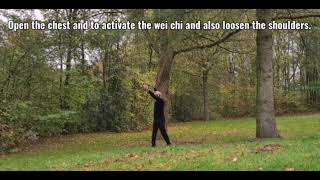 YoChi Qigong amp TaiChi [upl. by Shaughn]