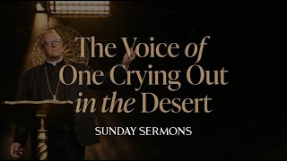 The Voice of One Crying Out in the Desert  Bishop Barrons Sunday Sermon [upl. by Eirtemed271]