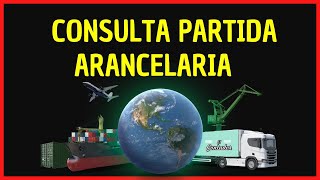 Consulta de una partida arancelaria SUNAT [upl. by Jadda910]