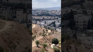 Descent from the Mount of Olives on an old narrow streetDriving in JerusalemIsrael 2024 [upl. by Libna101]