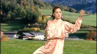 YangStyle 48 Form Tai Chi Chuan [upl. by Lluj]