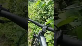 cycling mtb nepal cycle le aaja jungle phadiyo [upl. by Ahsienak]