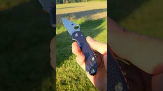 Spyderco Para 3 AWT Shadow Chrome scales lynch clip ti geared backspacer [upl. by Adelaja652]