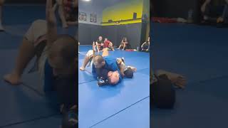 MMA Federasyonu Antrenör Eğitim Semineri [upl. by Pelaga]