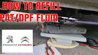 Citroen Dispatch Peugeot Expert how to change DPF REFILL PAT FLUID 2013 ON [upl. by Cathi]