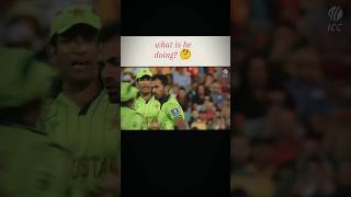 Wahab Riaz Vs Watson cricket trending shorts worldcup [upl. by Ihtraa383]