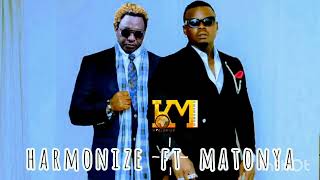 HARMONIZE FT MATONYA NIPO official audio lyrics [upl. by Losse]