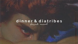 hozier  dinner amp diatribes slowed  reverb [upl. by Adiol953]