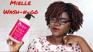 4b 4c Wash N Go with Mielle Honey amp Ginger Gel [upl. by Cilka]