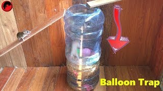 Trampa para ratones con botella de agua  Cómo hacer una trampa para ratas con globo [upl. by Allister483]