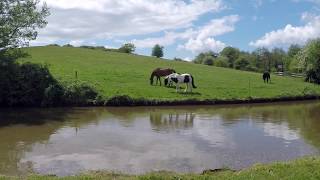 Atherstone Walk Woods and Canal [upl. by Aruam]