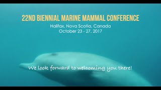 Join us in Halifax for the Society of Marine Mammalogys 22nd Biennial Conference [upl. by Aremat]