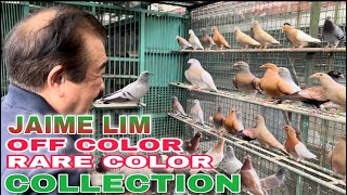 EP275  P3 MGA IMPORTED LINE NA RARE AT OFF COLOR COLLECTION NI JAIME LIM [upl. by Ydoow559]