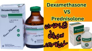 Dexamethasone Vs Prednisolone in Veterinary  Difference between Dexamethasone and Prednisolone [upl. by Aitel736]