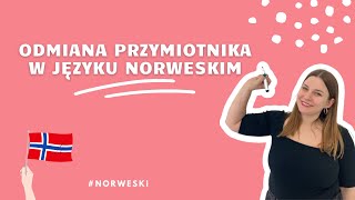 NORWESKI OD PODSTAW Odmiana przymiotnika w języku norweskim 👩‍🏫 [upl. by Devine344]