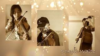 Ookpik Waltz The Twin Fiddlers [upl. by Seaton87]