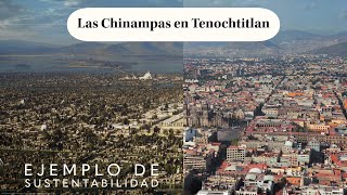 🛶 CHINAMPAS Un viaje al pasado de la agricultura mexica en Tenochtitlan 🌽 y un vistazo al futuro [upl. by Anelrahs]