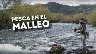 Pesca con mosca en el Rio Malleo Superior durante la apertura de temporada [upl. by Krebs327]