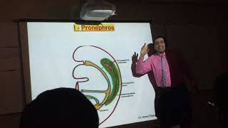 Embryology Lecture  Development of the Urinary System  DrAhmed Alzainy [upl. by Nylirad506]