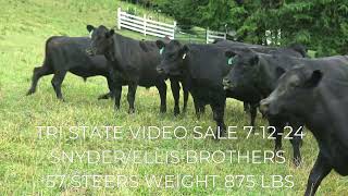 Tri State Video sale 71224 at 1pm [upl. by Oisor]