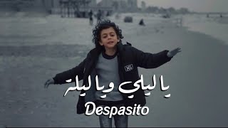 أغنية يا ليلي ويا ليلة  ديسباسيتو  Ya Lili  Despacito  Official 🔥 Video [upl. by Gustie]