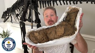 Largest Dinosaur Poop  Guinness World Records [upl. by Alejandrina]