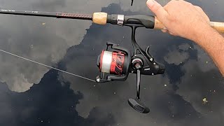 Penn Fierce III 4000 Live Liner Review [upl. by Neibart]