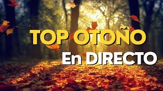 En Directo  Top Otoño diseñador 2024 🍂🔝 [upl. by Ahsinirt185]