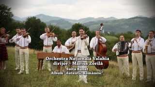 Marius Zorila si Orchestra Nationala Valahia  Suita Banat Album AUTENTIC ROMANESC [upl. by Atirhs143]