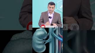 क्रिएटिनिन और किडनी फेलियर में अंतर पहचाने  How Creatinine Levels different from Kidney Failure [upl. by Harilda]