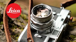 Have you been sleeping on this Leica lens [upl. by Carny]