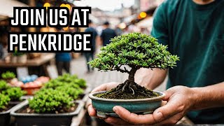 Come with us to the new Bonsai Event at Penkridge Markets [upl. by Butcher932]