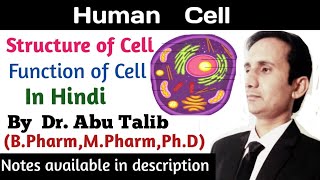 Human Cell Anatomy and Physiology In Hindi  Structure of Cell  Function of Cell [upl. by Almeria]