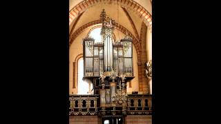 Buxtehude  Preludium und Fugue in g Buxwv 150 [upl. by Hahcim713]