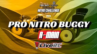 Pro Nitro Buggy AMain  2024 Dirt Nitro Challenge [upl. by Karlow614]