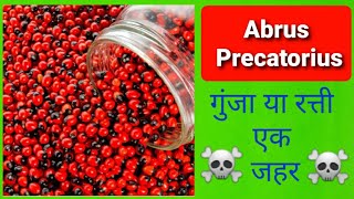 Abrus Precatorius Poisoning  गुंजा या रत्ती [upl. by Yahsal]