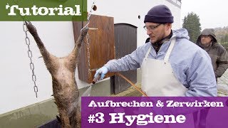 3 Hygiene  Schwarzwild  Lehrgang Aufbrechen amp Zerwirken [upl. by Nwahsir]