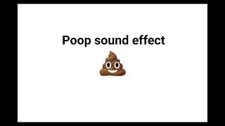 Poop sound effect [upl. by Barsky635]