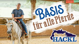 Die Basis für alle Pferde  Bernd Hackl erklärt 🐴 [upl. by Inaja]