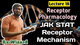 RECEPTORS  JAKSTAT Receptor Mechanism  Pharmacodynamics  Rx Wizard [upl. by Ahtebbat127]