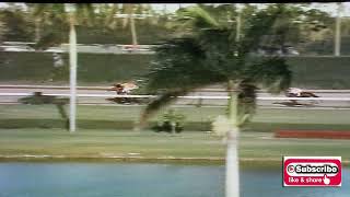 GUN BOW SHOCKED in 1965 GULFSTREAM PARK HDCP TRR 12 18 21 [upl. by Euqinay]