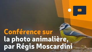 Conférence sur la photo animalière par Régis Moscardini [upl. by Amaryl901]