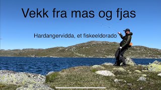 8 Dager uten mas på Hardangervidda [upl. by Dnaltiak529]