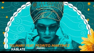 Telmary feat Pedrito Martínez  Háblate Audio [upl. by Enaitsirk]