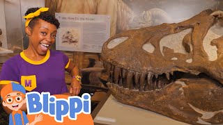 Meekah roars like a dinosaur  Blippi  Learn Colors and Science [upl. by Aihgn]