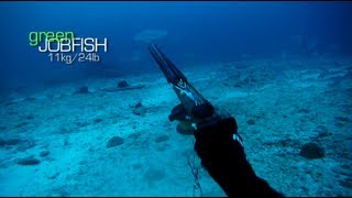 Spearfishing  Stoning a 11kg Green Jobfish [upl. by Radke]