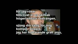 Färska Prinzen  Solna Och Jag Är Sur Lyrics i videon [upl. by Paula]